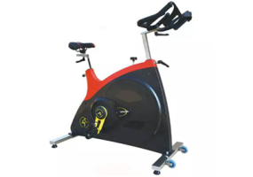 7010A Spinning Bike